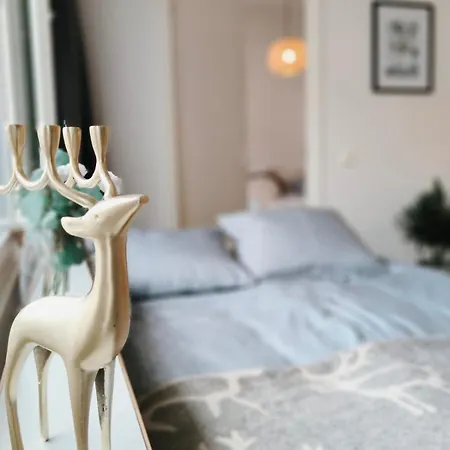 Rova Arctic Glow - *