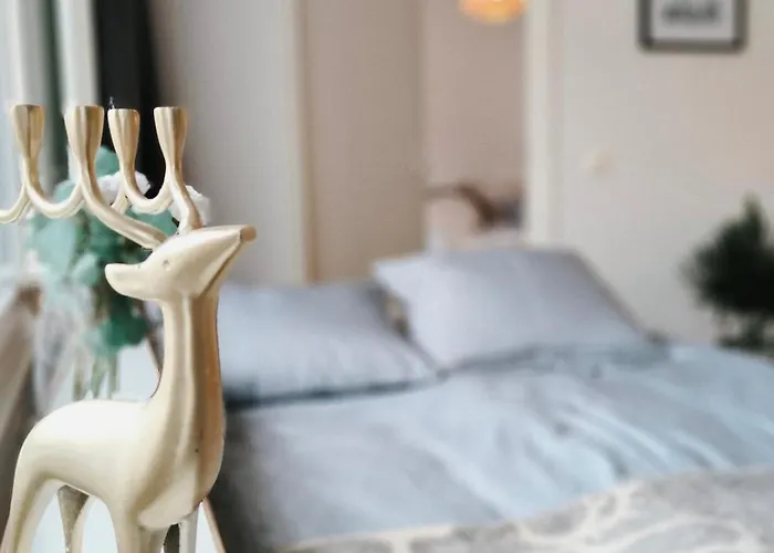 Rova Arctic Glow - *